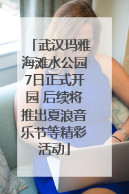 武汉玛雅海滩水公园7日正式开园 后续将推出夏浪音乐节等精彩活动
